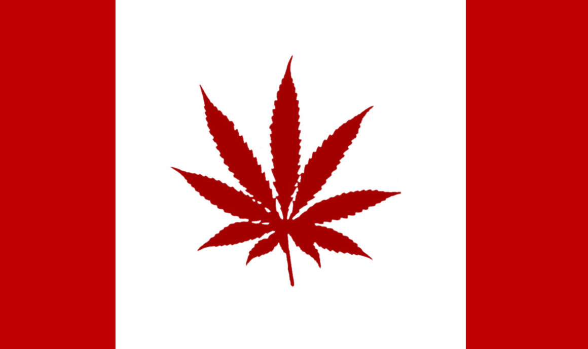 Kanada satsar storskaligt på marijuana