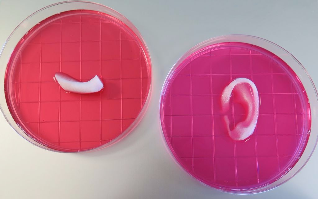 3D-printer för mänsklig vävnad