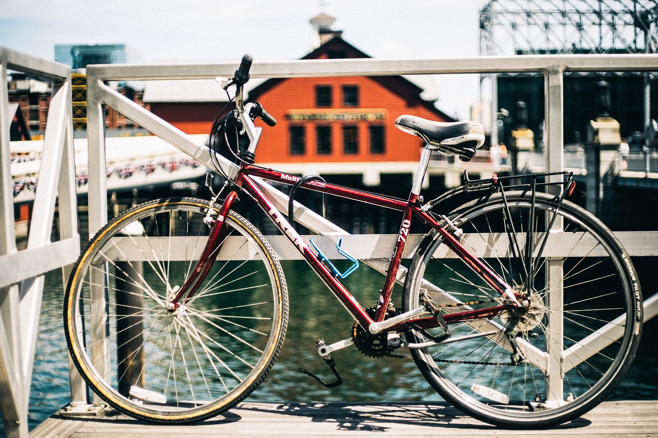 Cykelfärja mellan Sverige och Danmark