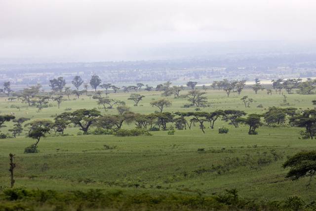 Etiopien 350 miljoner träd