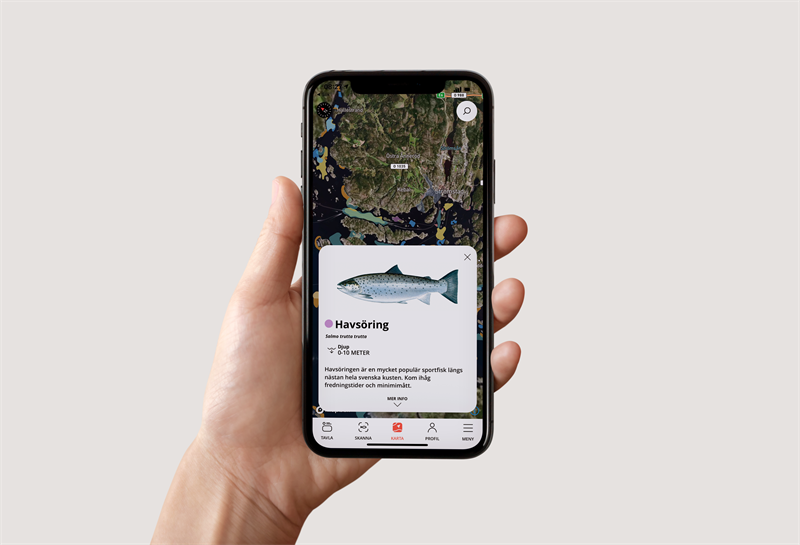 App för bättre fiske