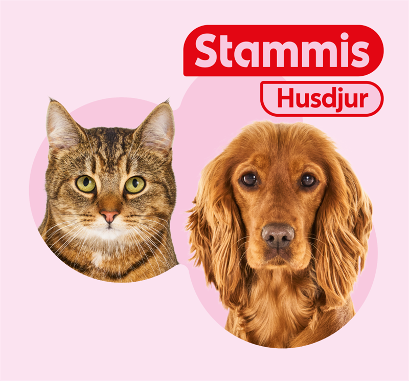 ICA lanserar kundklubb för husdjur