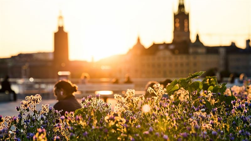 Mer grönska i städerna önskas