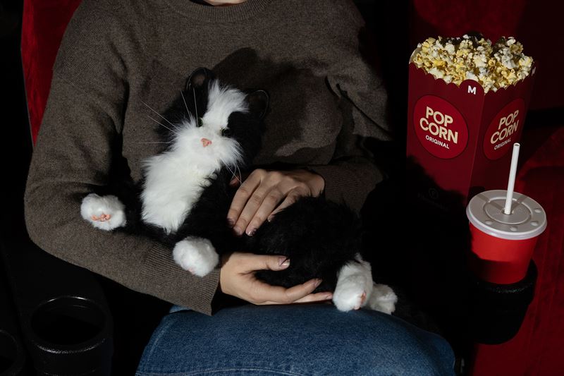 Se skräckfilm tillsammans med robotkatt