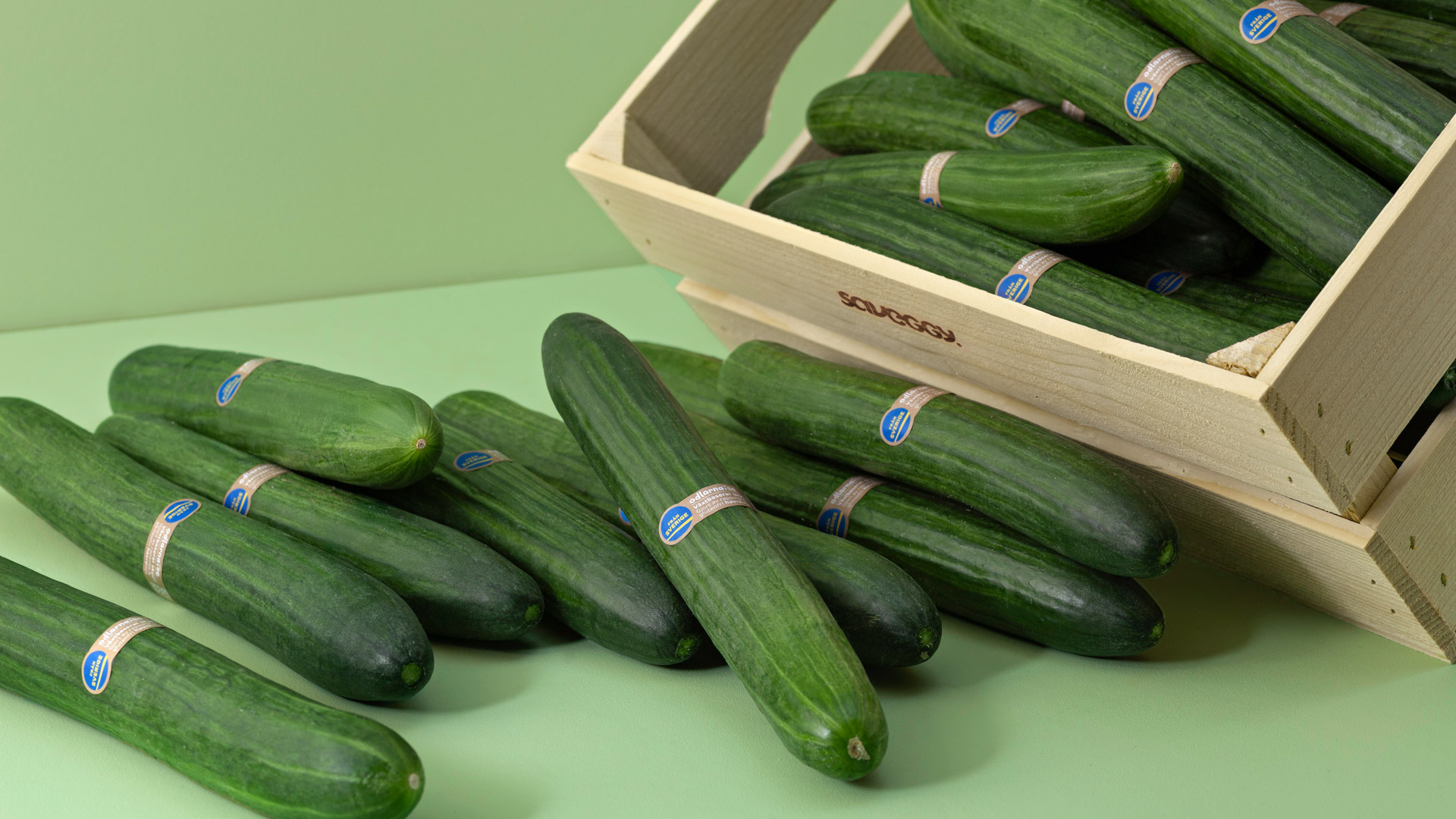 Ätbart grönsaksskydd