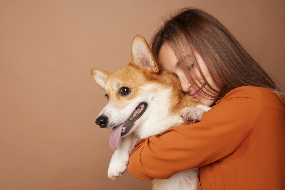 Allt fler hundägare pressas ekonomiskt