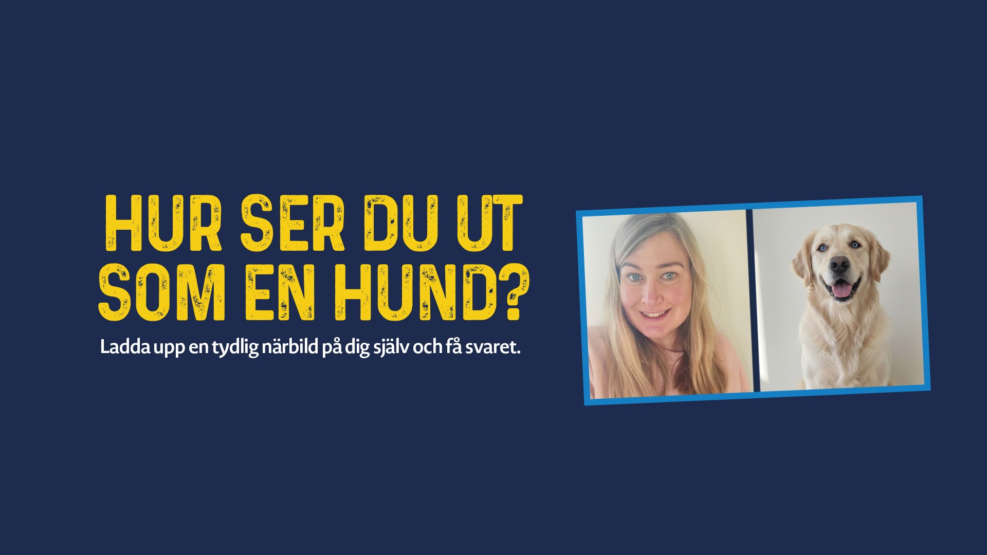 Se din inre hund eller katt med AI