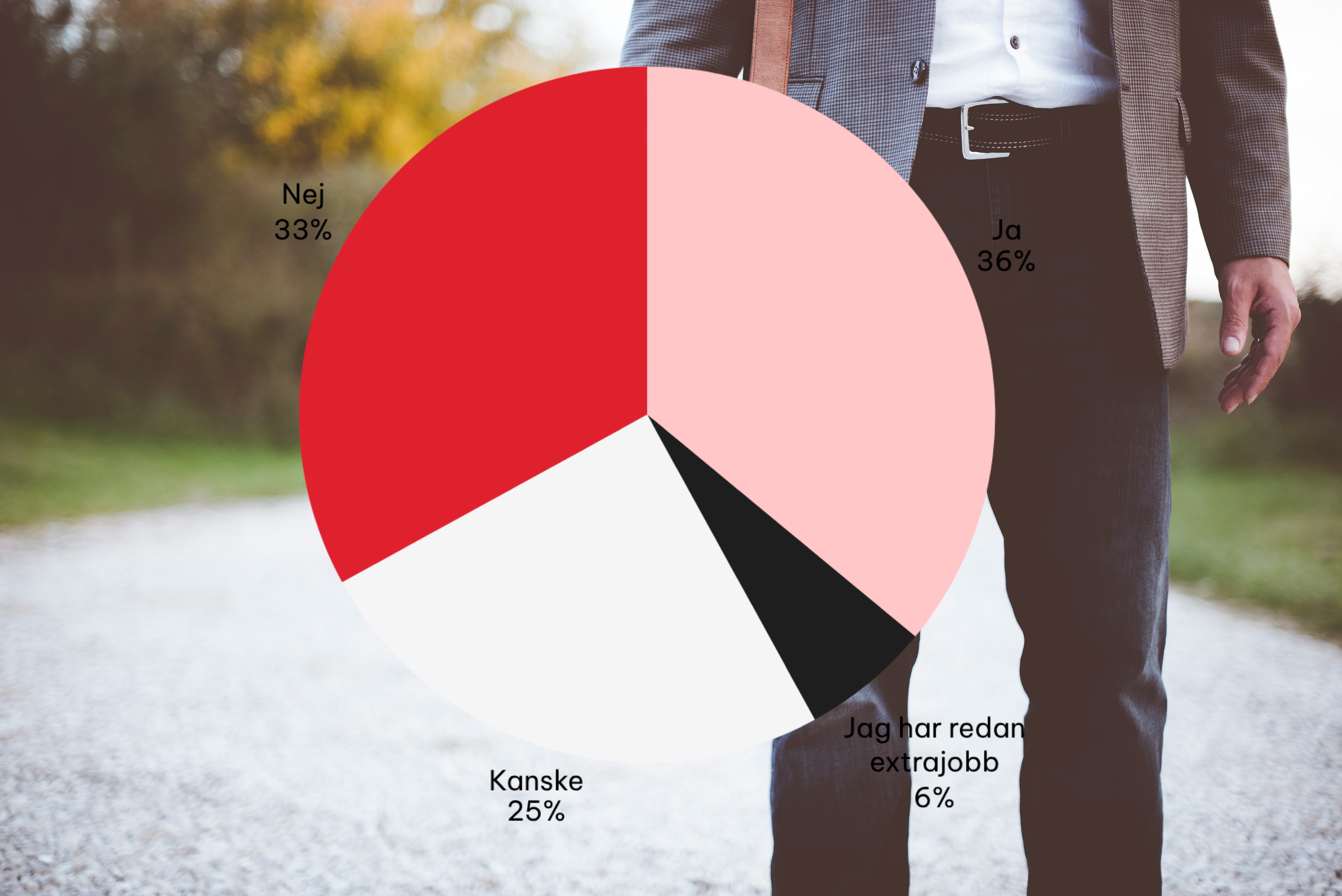 Många svenskar intresserade av extrajobb