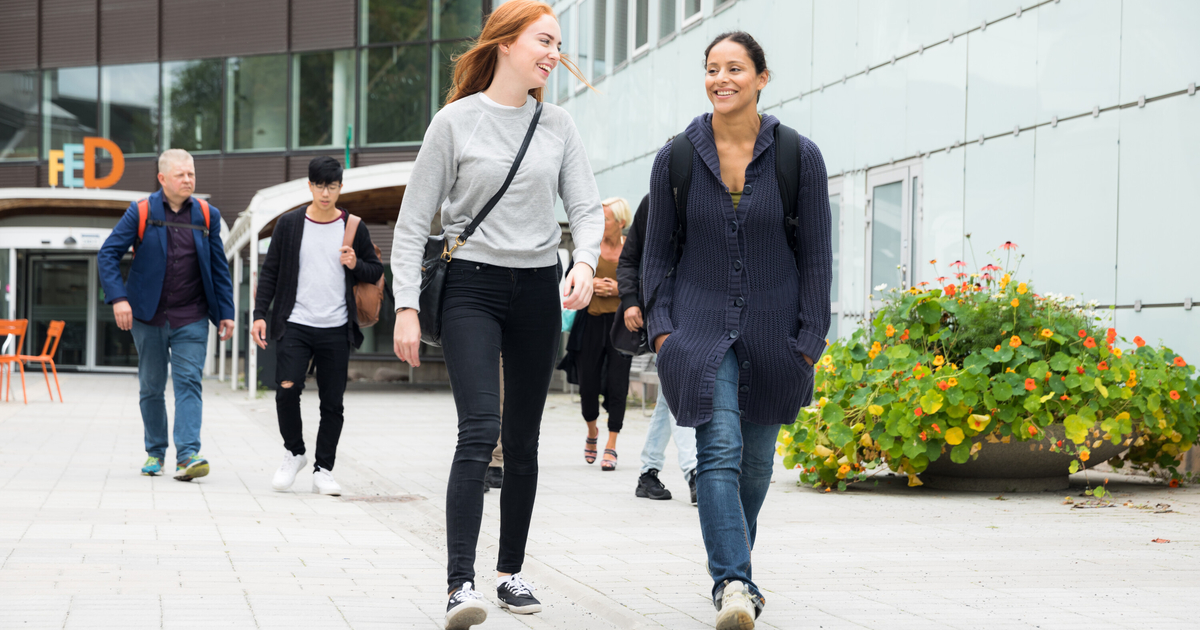 Rekordstort intresse för högskolestudier