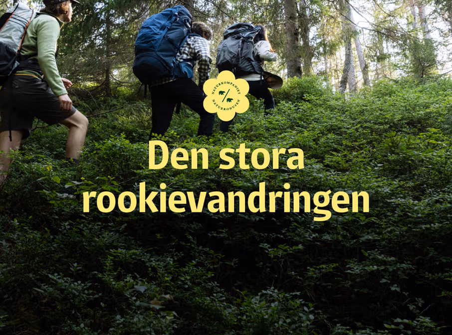 Naturkompaniet bjuder in till rookievandring