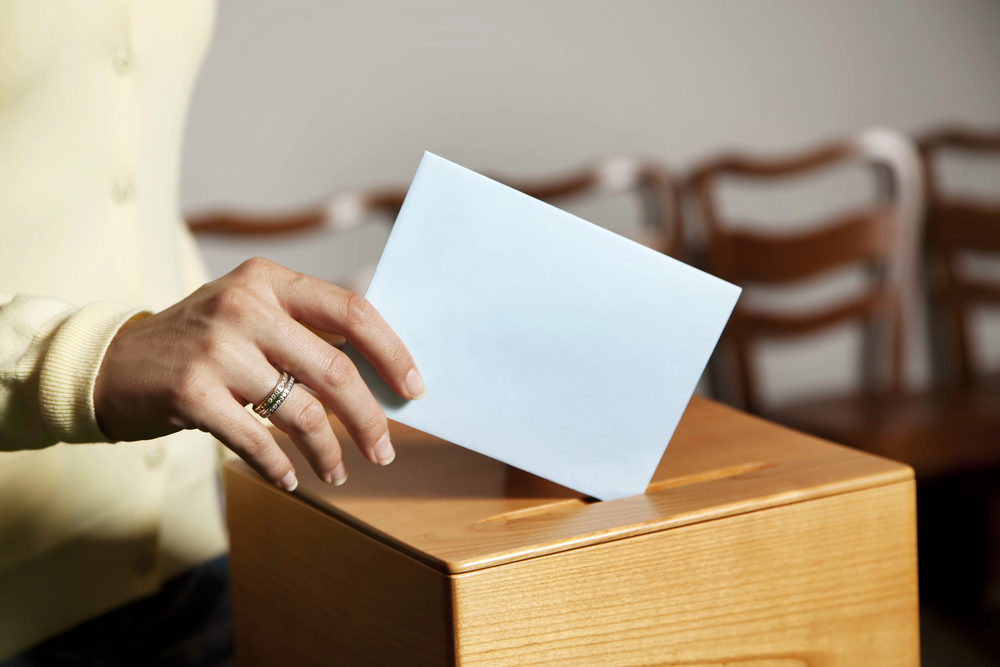 Starkt stöd för svensk demokrati
