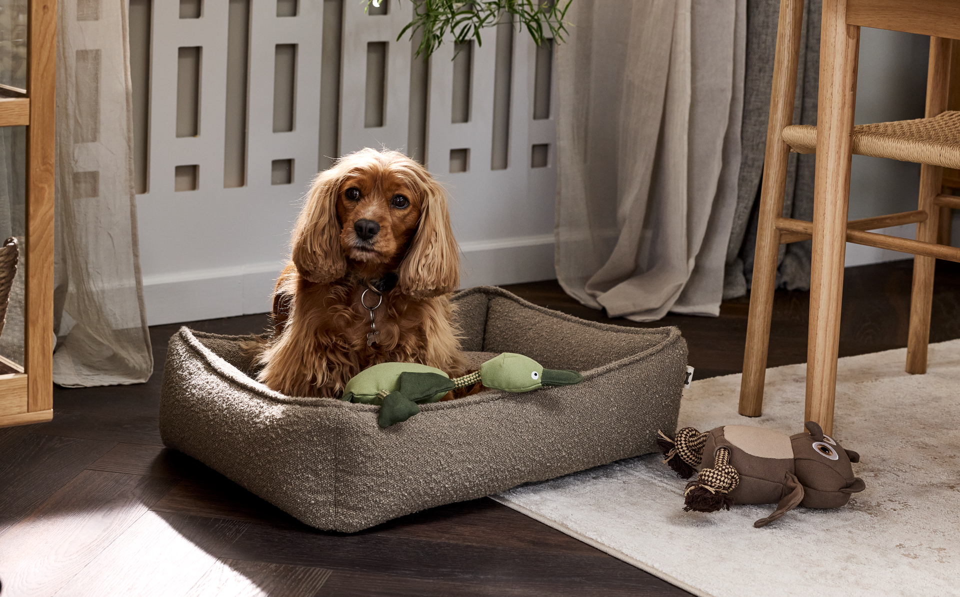 JYSK lanserar sin första hundkollektion